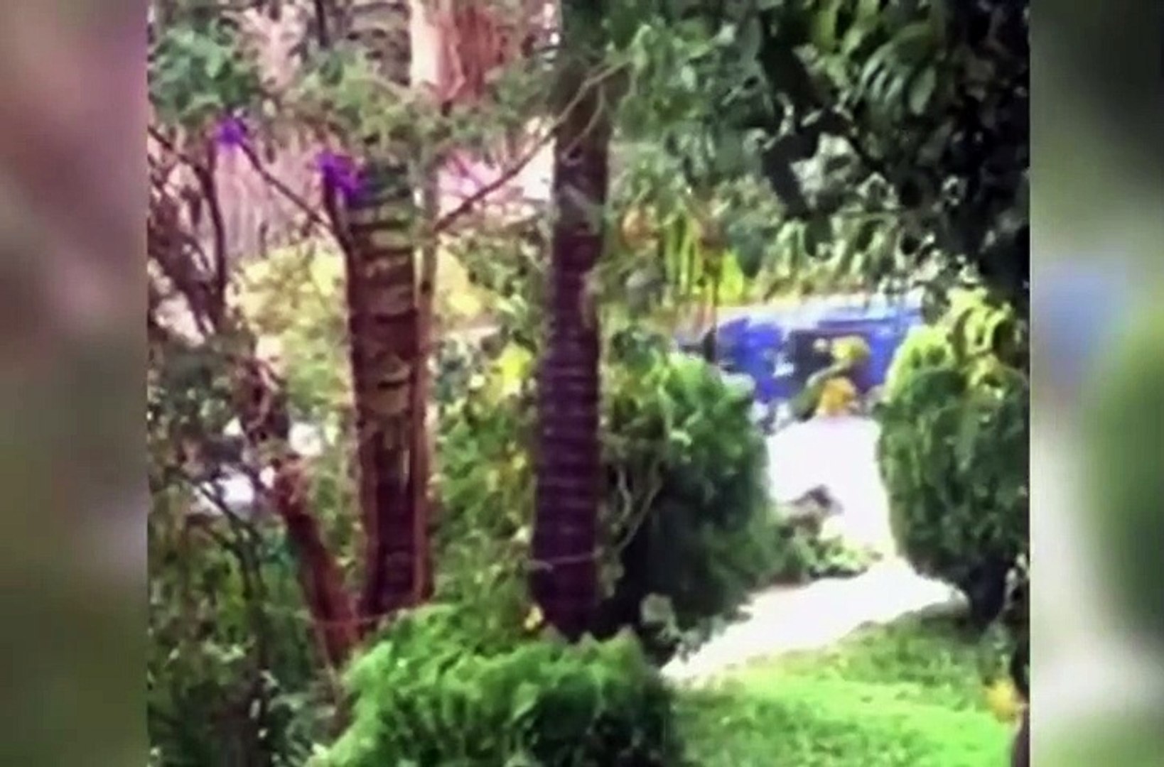 funny moments compilation