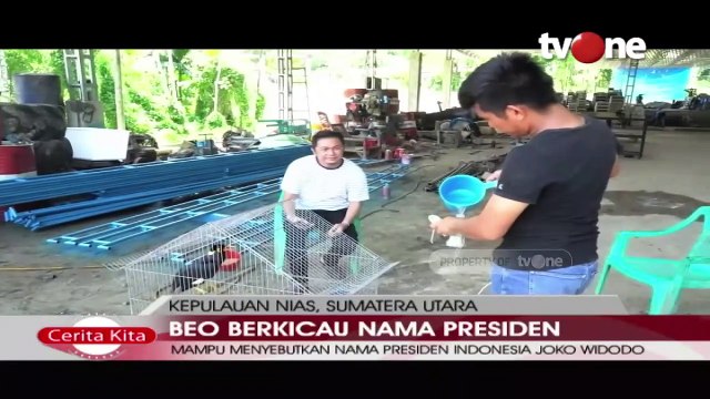 Seekor Burung Beo Nias Mampu Sebutkan Nama Presiden Jokowi