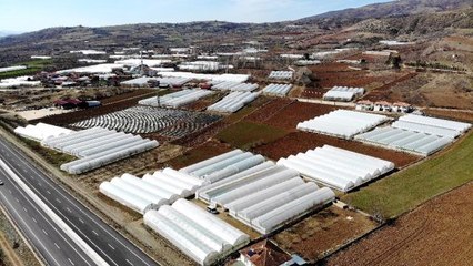 - 'Küçük Antalya' olarak anılıyor, köyün tamamına yakını sera ile kaplı