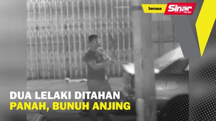 Dua lelaki ditahan panah, bunuh anjing