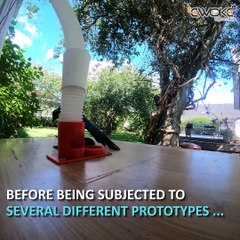 Wild birds are being trained to recycle in exchange for food