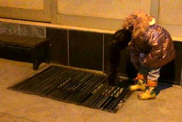 Pencere boşluğunda mahsur kalan yavru kedi kurtarıldı