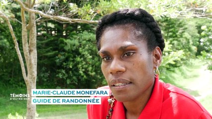 Nouvelle-Calédonie - Les grandes fougères