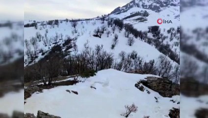 - Siirt'te PKK'lı teröristlerin tuzağı son anda önlendi