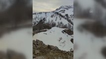 Son dakika... Bitlis sınırında PKK'lı teröristlerin araziye tuzakladığı basma düzenekli 8 patlayıcı imha edildi