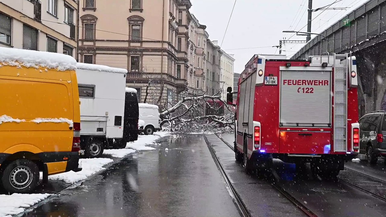 Baum stürzte in Innsbruck um: Mutter wurde schwer verletzt