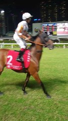 Hongkong Happy Valley Racecourse! 