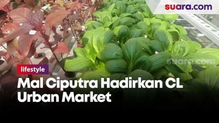 Mal Ciputra Hadirkan CL Urban Market Yang Menunjang Gaya Hidup Terkini