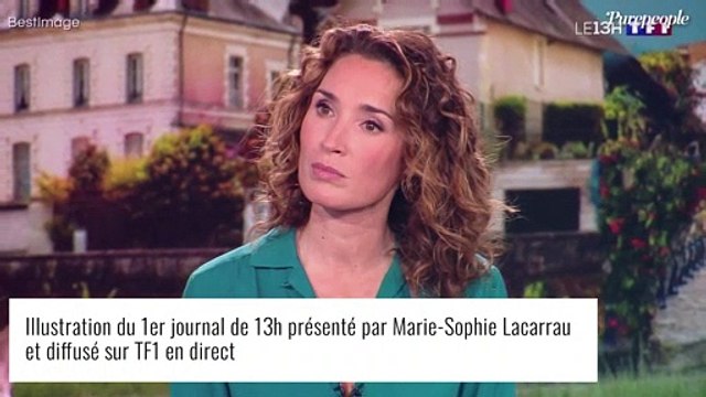 Marie-Sophie Lacarrau, star de TF1 : ses deux fils adolescents s'en fichent