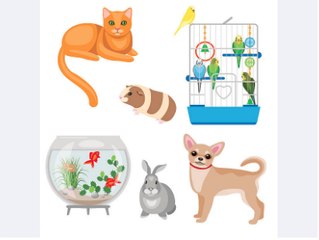 Lors d'une catastrophe comment protéger ses animaux de compagnie ?