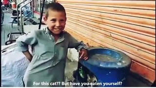 The Poor Boy Used All The Money He Had To Feed The Cat ♥  | True Humanity 