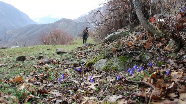Doğa severlerden Nevruz Bayramında doğa yürüyüşü