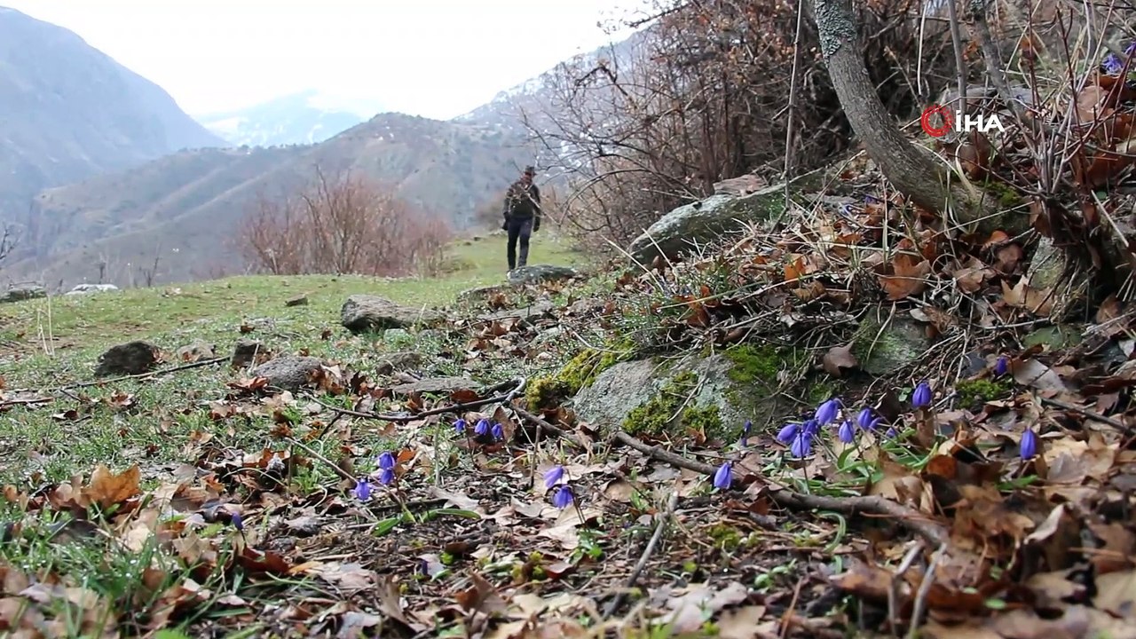 Doğa severlerden Nevruz Bayramında doğa yürüyüşü