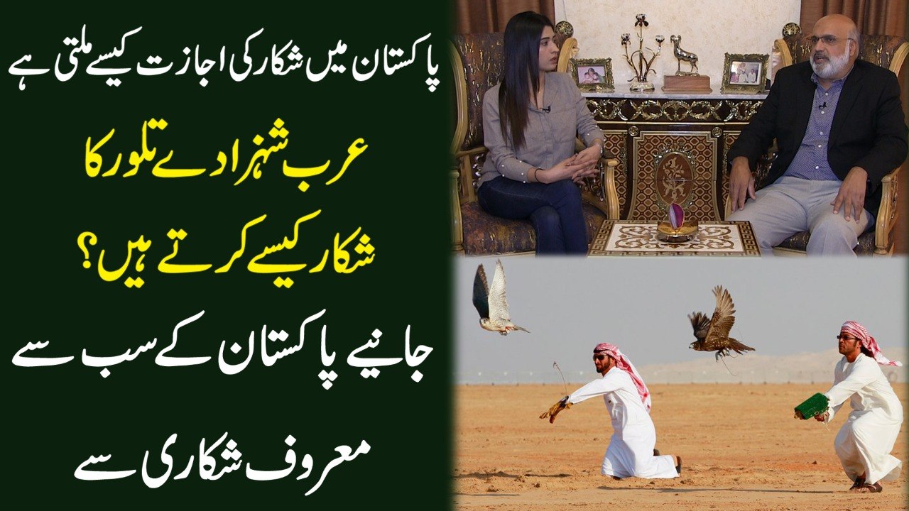 Pakiatan mei shikar ki ijazat kese milti hai, Arab shahzaday Tilour ka shikar kese kartay hain? Janiye Pakistan k sab se maroof shikari se