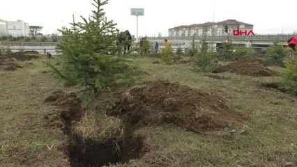 Bolu'da 480 fidan toprakla buluşturuldu