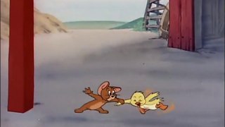 Tom and Jerry Episode 47 - Little duck quack quack