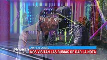 El Chacal molesto con las rubias durante su visita a la ciudad de La Paz