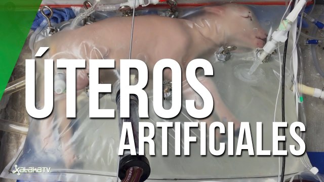 Úteros artificiales: ¿el futuro para los bebés prematuros?
