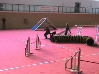 Eurocopter 17FEV08 Beep Open RC