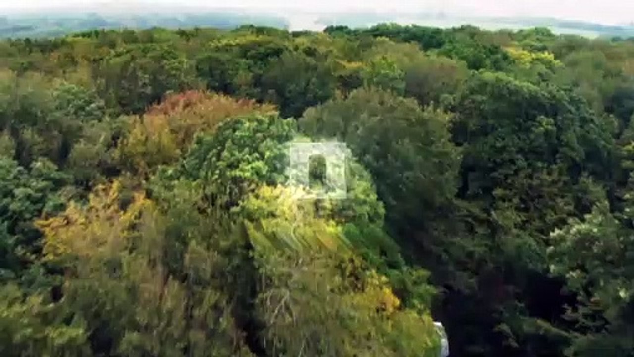 Bande-annonce de "La traque" sur TF1