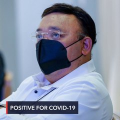 Harry Roque, Duterte spokesman, tests positive for COVID-19