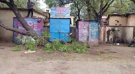 विद्युत लाइन के आसपास आ रहे वृक्षों की डालियां काटी