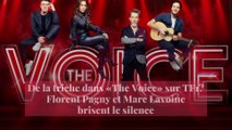 De la triche dans «The Voice» sur TF1? Florent Pagny et Marc Lavoine brisent le silence