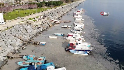 - Pendik'te korkutan görüntünün gerçek nedeni belli oldu