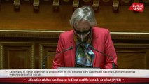 Allocation adultes handicapés : le Sénat modifie le mode de calcul - En séance (15/03/2021)