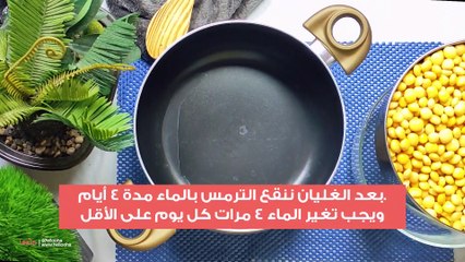 طريقة عمل الترمس البلدي المر وتحلية الترمس
