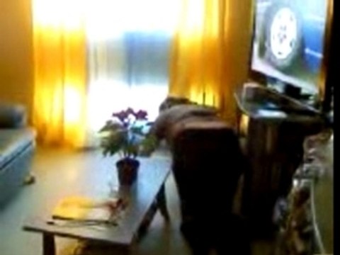 tatia ki marches a 4pattes