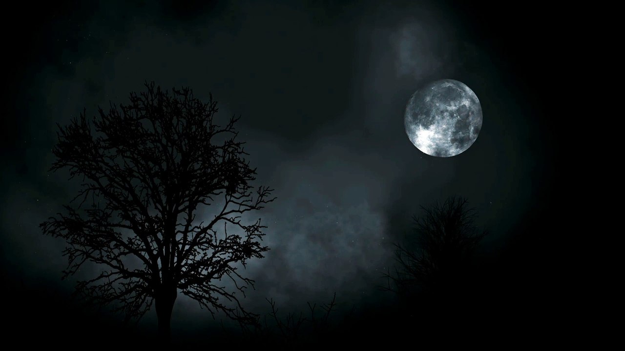 Relax with the sounds of the night. Greaty for resting and sleeping deeply. Sounds of Nature.