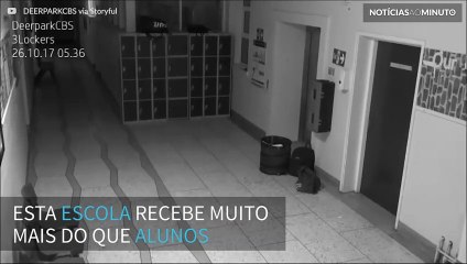 Fantasma assombra escola na Irlanda