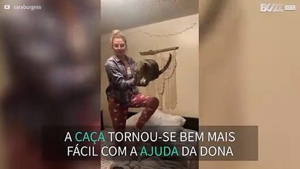 Dona ajuda gato a caçar uma traça