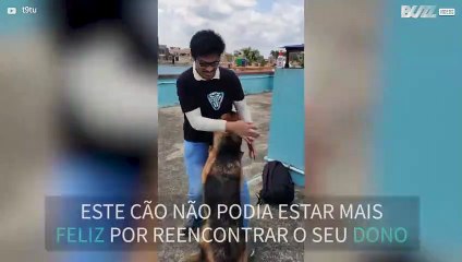 Jovem tem reencontro emocionante com o seu cão