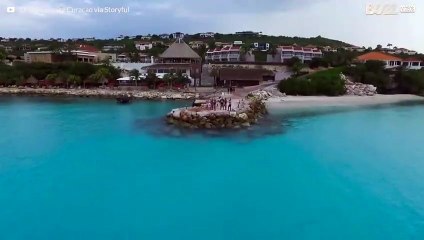Filmagem de drone mostra baleias de bryde se alimentando em Curaçau