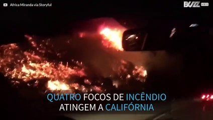 Quatro focos de incêndio atingem a Califórnia