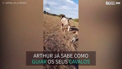 Este pequeno encantador de cavalos vive na Austrália