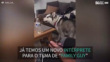 Husky adora cantar o tema de Family Guy
