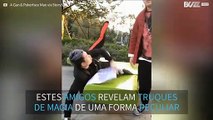 Truques de magia revelados de forma cômica!