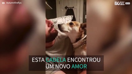 Cadela apaixona-se pelo noivo da dona