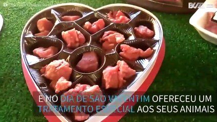 Homem celebra o dia de São Valentim com… crocodilos!