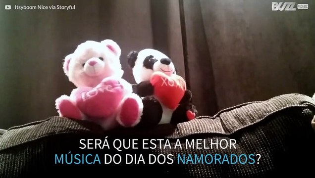 Ursos de pelúcia se divertem no dia dos namorados