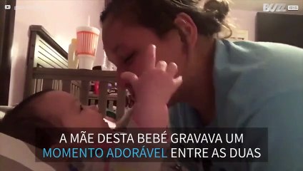 Bebê de 4 meses fala pela primeira vez em frente à mãe
