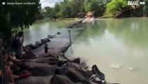 Duelo entre crocodilo e pescador em um rio da Austrália