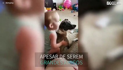 Bebê transborda amor pelo seu cachorro