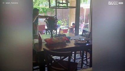 Tio testa a atenção do seu distraído sobrinho