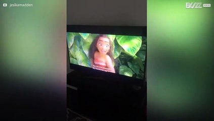 Cão adora relaxar e ver filmes no sofá!