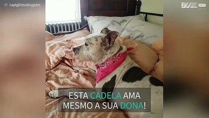 Cadela adora "dizer" que ama a dona!