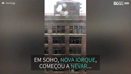 Neve cai durante dia quente de verão em Nova Iorque